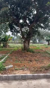 Đất nền Hòa Sơn, Lương Sơn 107m² chỉ 1 tỷ - Sổ hồng chính chủ