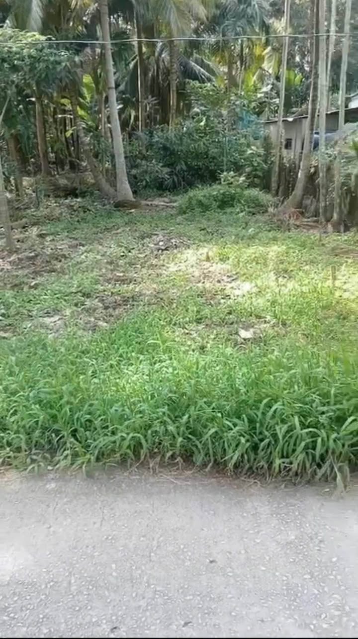 Đất thổ cư 234m² tại Ấp Chùa Ông, Hậu Thạnh - Giá chỉ 290 triệu!