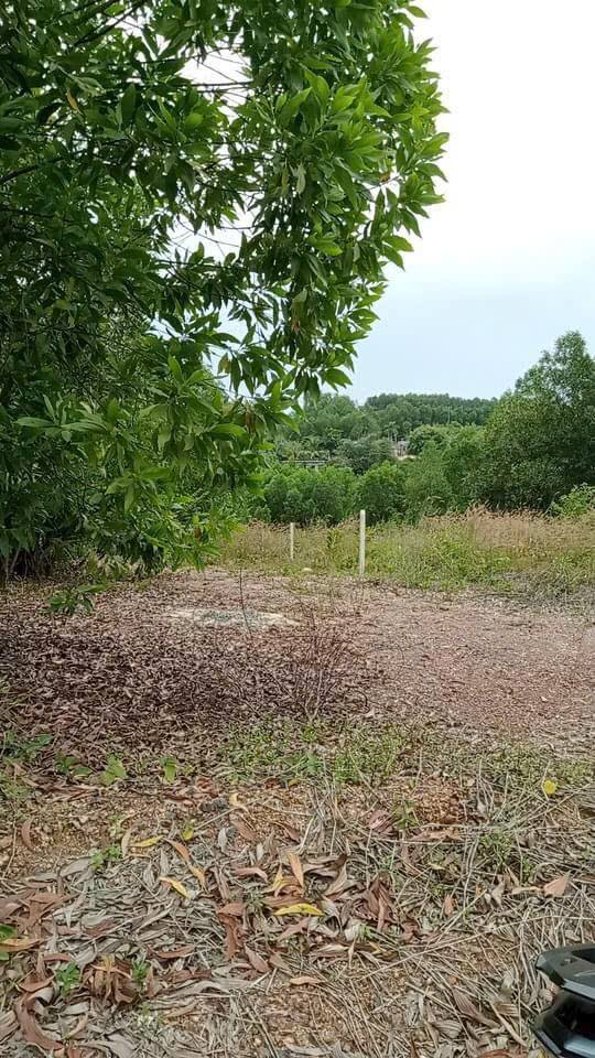 Đất nền 1140m² Thị trấn Vĩnh An, Vĩnh Cửu chỉ 800 triệu - Sổ hồng riêng