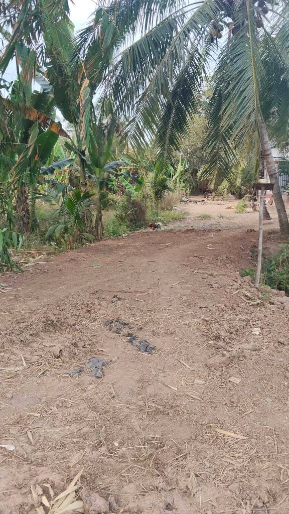 Đất nền 10.000m² Phường 5 TP. Trà Vinh giá 300 triệu - Đầu tư sinh lời lý tưởng!