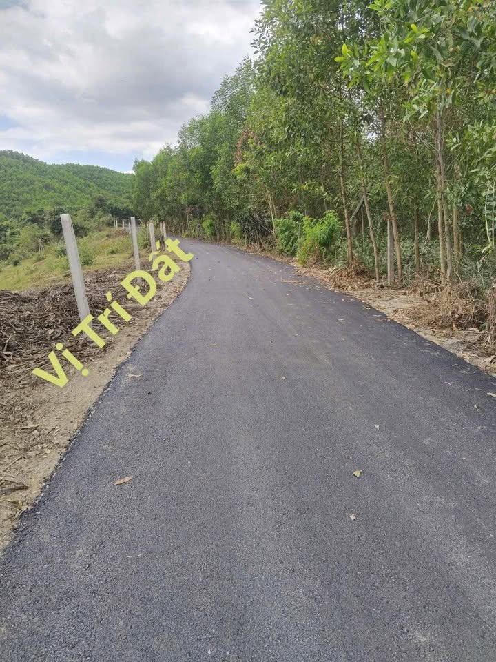 Đất thổ cư mặt tiền đường Khánh Nam 600m² giá chỉ 199 triệu - Cần bán gấp!