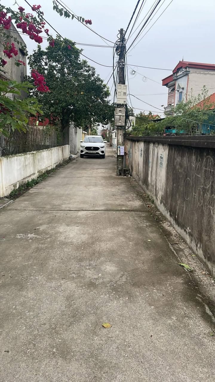 Đất nền tại xã Tân Phúc, huyện Ân Thi, 86m² - Cơ hội đầu tư hấp dẫn!