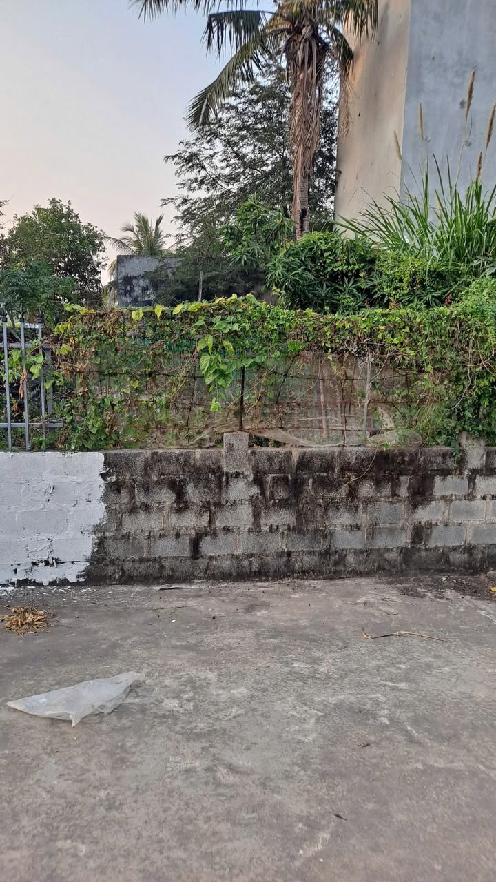 Đất nền Tân Lập, Dương Kinh 130m² giá 2.5 tỷ - Đường thông ô tô tránh, sổ đỏ chính chủ!