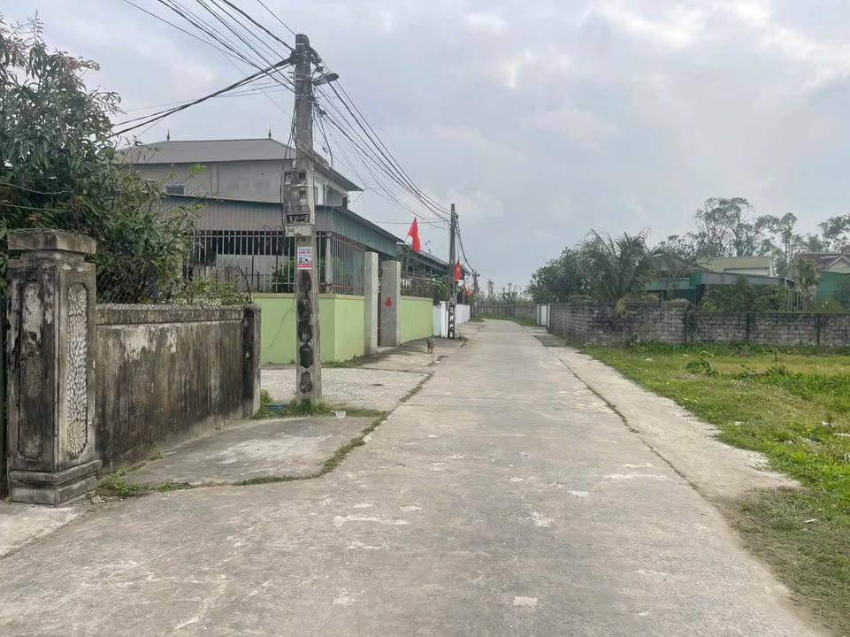 Đất nền Xóm 3, Nghi Trung, 250m² giá 3.89 tỷ - Cơ hội đầu tư tuyệt vời!