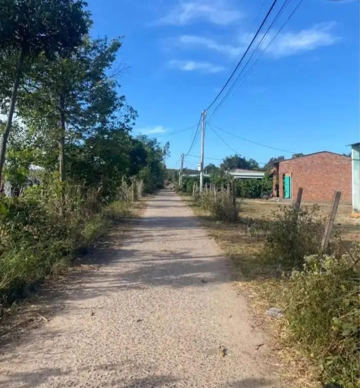 Đất thổ cư thôn Kép Ram, xã Hòa Bình, 260m² giá chỉ 1xx triệu - Cơ hội đầu tư tuyệt vời!