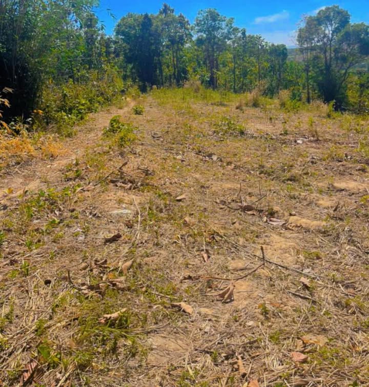 Đất Farm 15,000m² tại Đắk Ruồng, Kon Rẫy - Chỉ 400 triệu - Gần nguồn nước dồi dào!