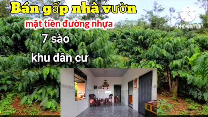 Nhà vườn N’Thol Hạ, Đức Trọng 2520m² - Sinh thái xanh