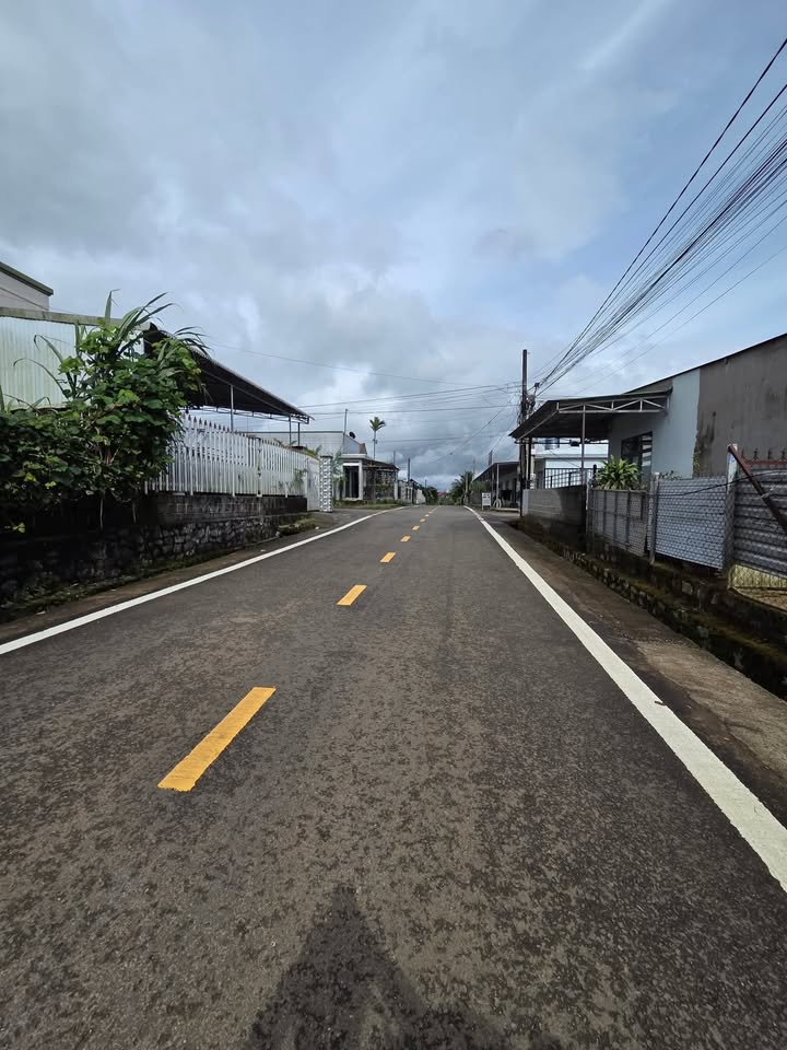 Đất nền hẻm 172 Đường Lê Phụng Hiểu, Bảo Lộc 186m² giá 1.8 tỷ - Đầu tư sinh lời hấp dẫn!