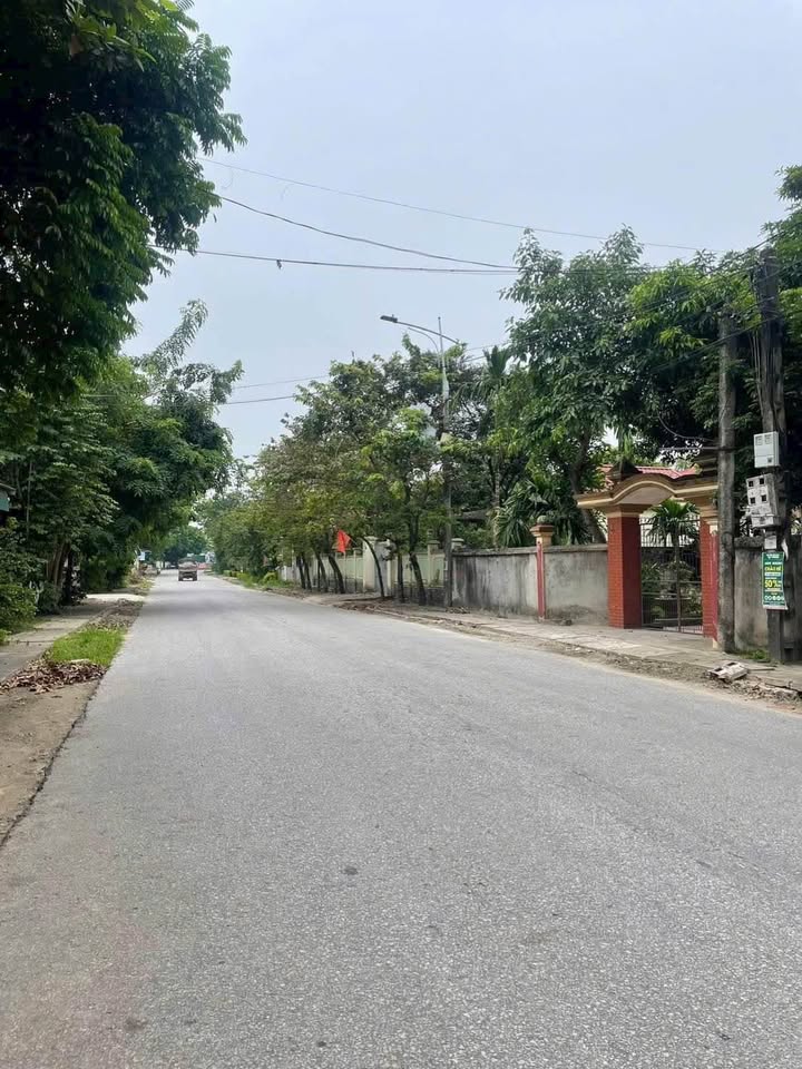 Đất nền Phường Âu Cơ - 166m² giá 2 tỷ - Mặt tiền kinh doanh sầm uất!