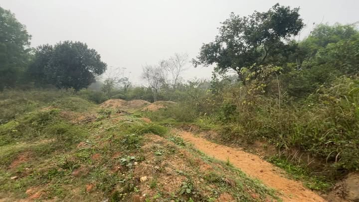 Đất nền Thịnh Đức 7000m² giá thỏa thuận - Đường xe tải vào tận nơi!