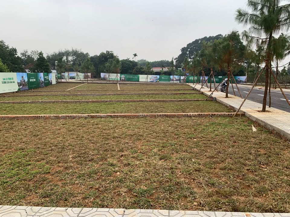 Đất nền Phú Cát - 100m² chỉ 4.2 tỷ - Xây dựng tự do 7 tầng!