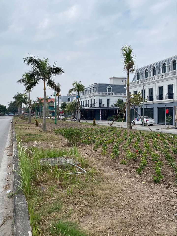 Đất nền Phường Mạo Khê 105m² giá 3.2 tỷ - Tiềm năng sinh lời vượt trội!