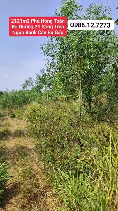 Đất nền 2121m² Đường 19 Sông Trầu, Trảng Bom - Giá chỉ 2.77 tỷ VND, cơ hội đầu tư tuyệt vời!