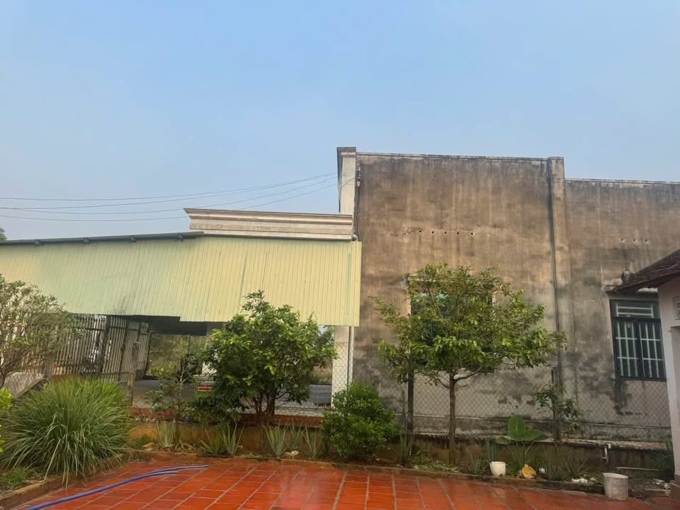 Đất nền 1116m² tại Ấp Xóm Mía, Tây Ninh - Bán gấp chỉ 970 triệu!