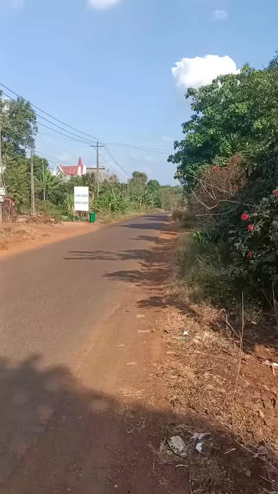 Đất nền 840m² tại DT312, Xã Thống Nhất, Huyện Bù Đăng giá 60 tỷ - Cơ hội đầu tư tuyệt vời!