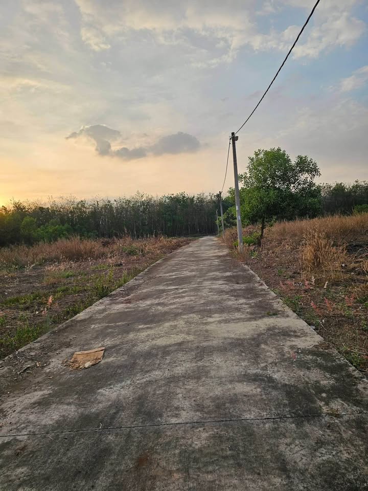 Đất nền Khu phố 3, Phường Tân Phú, 130m² giá 500 triệu - Cơ hội đầu tư lý tưởng!