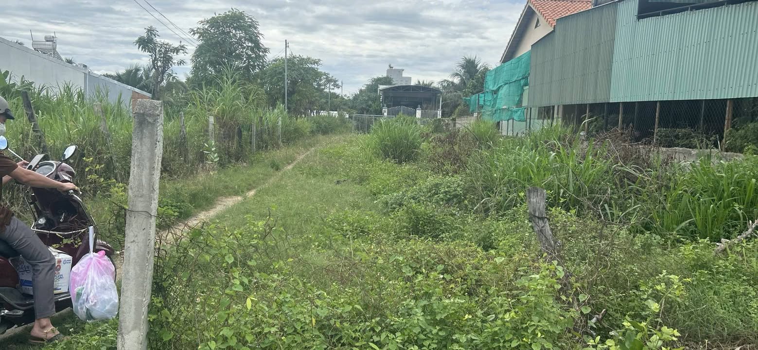 Đất nền Phường Phước Mỹ 412,9m² giá 1,45 tỷ - Sổ hồng chính chủ, đầu tư sinh lời!