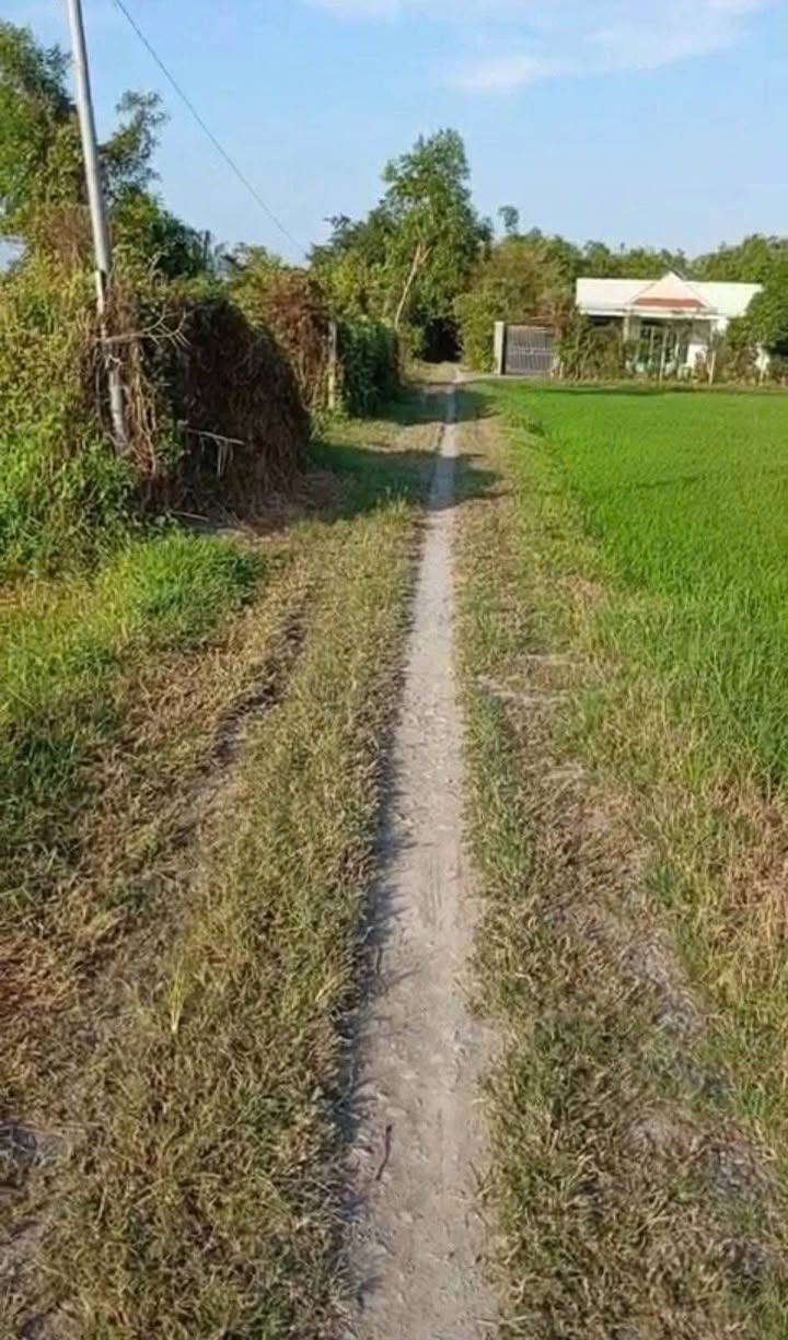 Đất nền đường Gò Sao, Tân Phú 2220m² giá 3.5 tỷ - Phân lô đẹp, sẵn sàng xây nhà vườn!