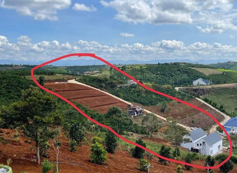 Bán đất farm hẻm 457 Lý Thái Tổ, TP Bảo Lộc, 4550m² - Giá chỉ 5.5 tỷ