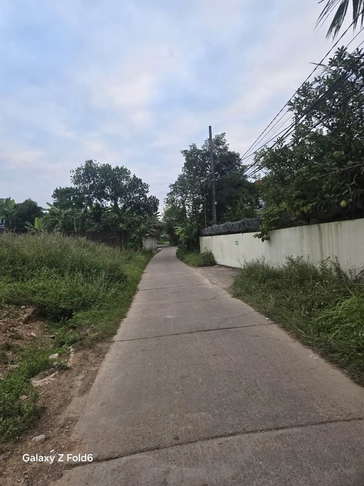 Đất nền Tân Thành, Phú Bình 666m² giá chỉ 1.3 tỷ - Đầu tư sinh lời ngay!