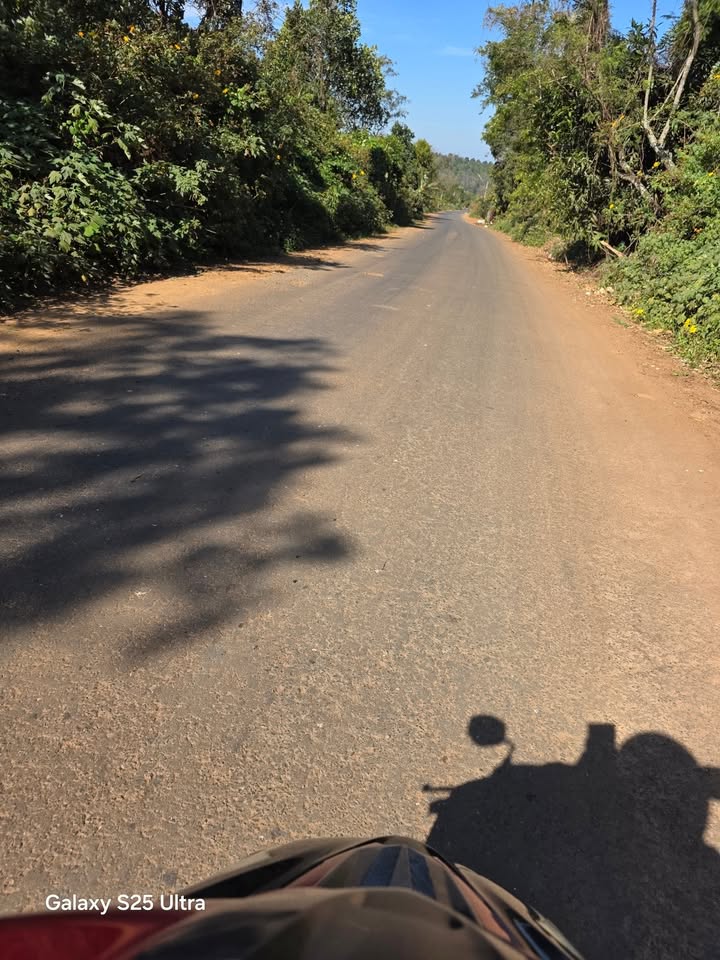 Farm 3 hecta Cư Pơng, Krông Búk giá 14.58 tỷ - Đầu tư sinh lời cao!