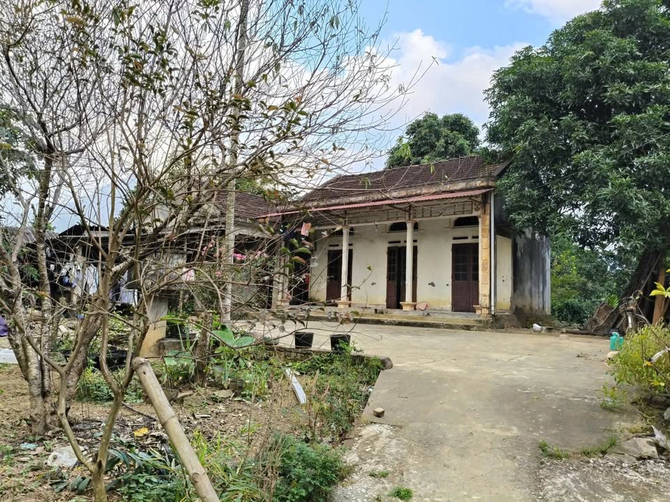 Đất nền xã Minh Quang, Ba Vì 751m² giá chỉ 2.253 tỷ - Cơ hội đầu tư tuyệt vời!