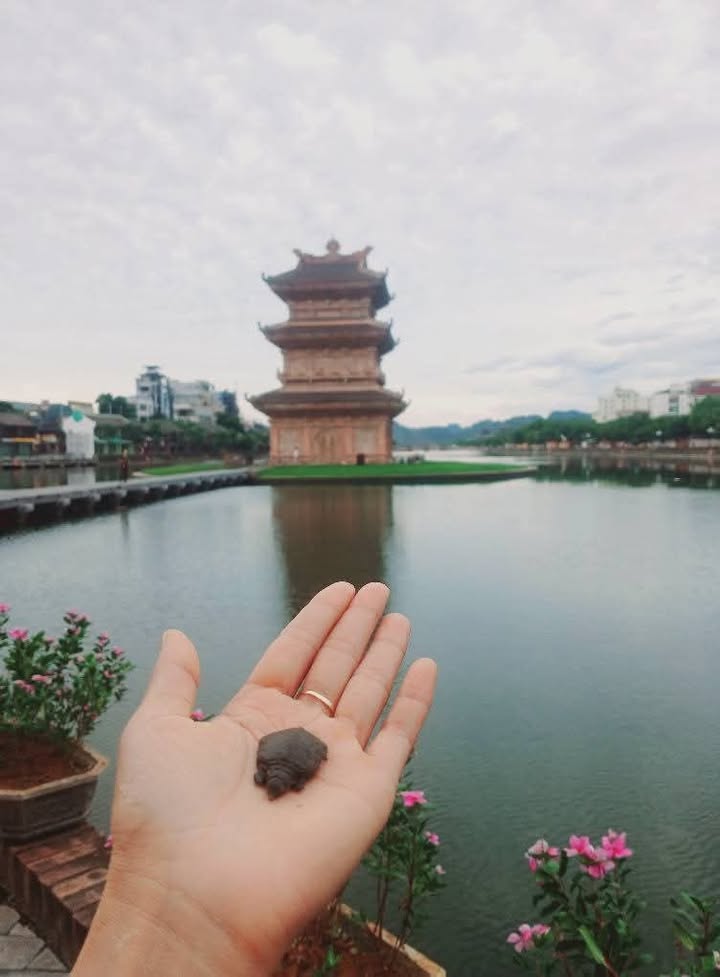 Đất mặt tiền Công trường ĐHHL mới 114m² giá 12 tỷ - Kinh doanh sầm uất!