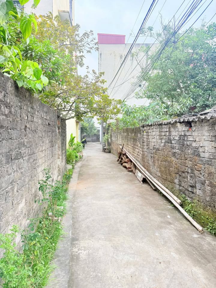 Đất nền phường Hoa Lư, Ninh Bình 78.4m² - Cơ hội đầu tư tuyệt vời!