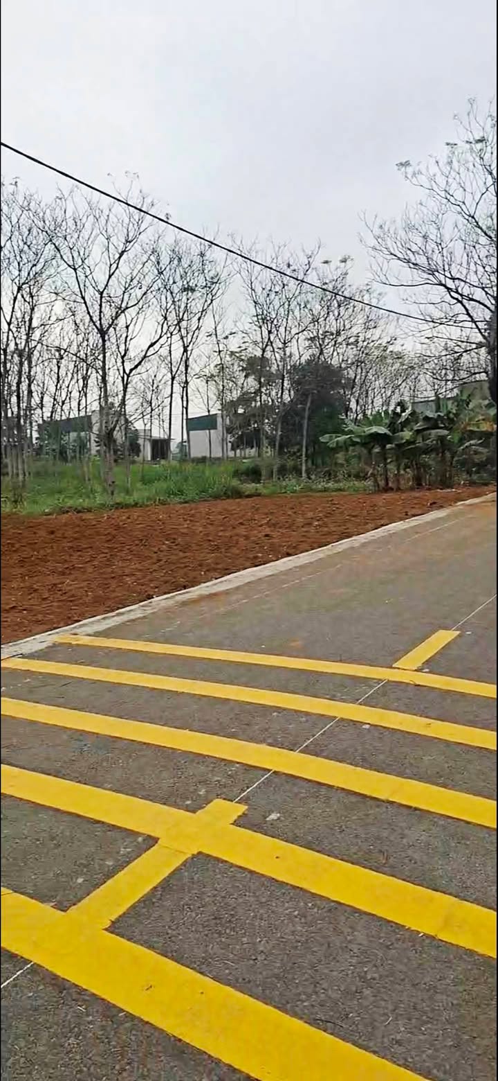 Đất phân lô Trung Sơn, Tam Điệp 90m² giá chỉ 900 triệu - Cơ hội đầu tư hấp dẫn!