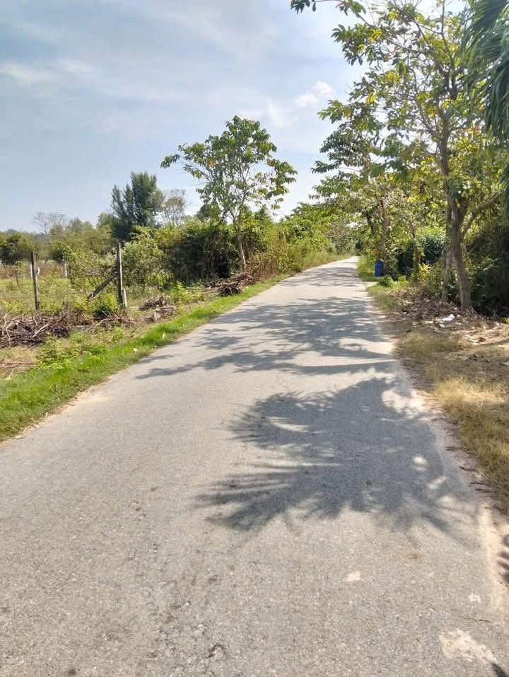 Đất thổ cư 300m² tại xã Trung Lập Hạ, huyện Củ Chi - Đường nhựa ô tô vào tận nơi chỉ 5.5 tỷ!