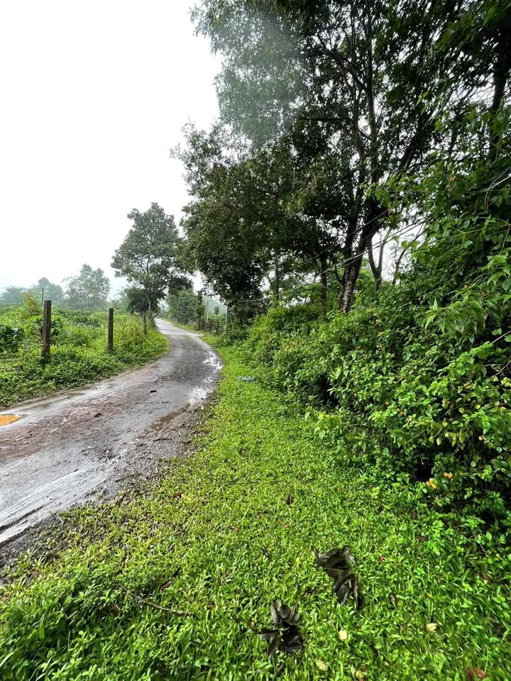 Đất nền xã Tân Sơn, Pleiku 1400m² giá 1.6 tỷ - View hồ tuyệt đẹp!