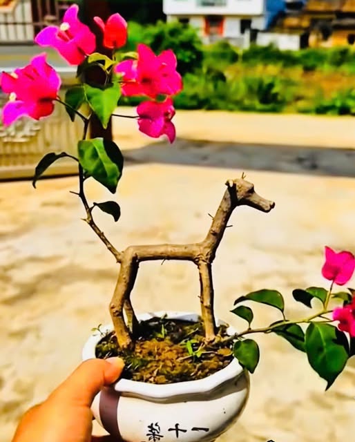 Đất vườn nhãn 1000m² tại Hòa Hưng, Xuyên Mộc - Giá chỉ 600 triệu