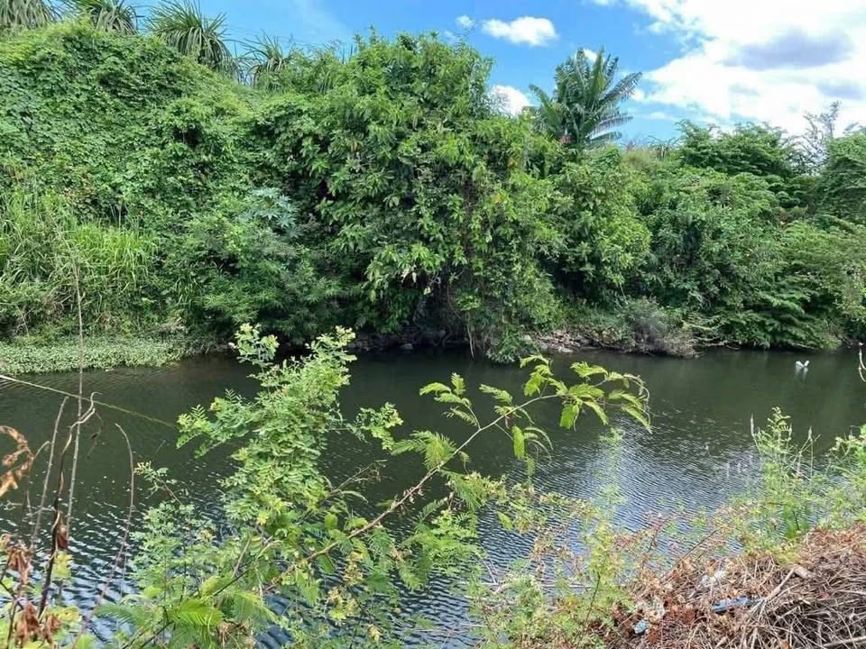 Đất Farm 4000m² tại Hàm Đức, Bình Thuận - Giá 1.55 tỷ, View sông tuyệt đẹp!