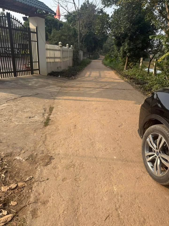 Đất thổ cư 127m² tại Tử Du, Lập Thạch - Giá chỉ 900 triệu!