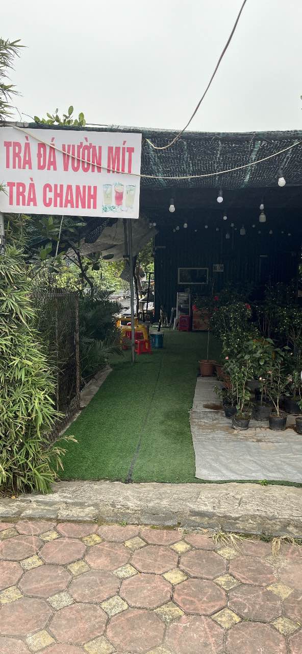 Đất nền Đa Tốn, Gia Lâm 50m² giá 4 tỷ - Sổ đỏ sang tên ngay!