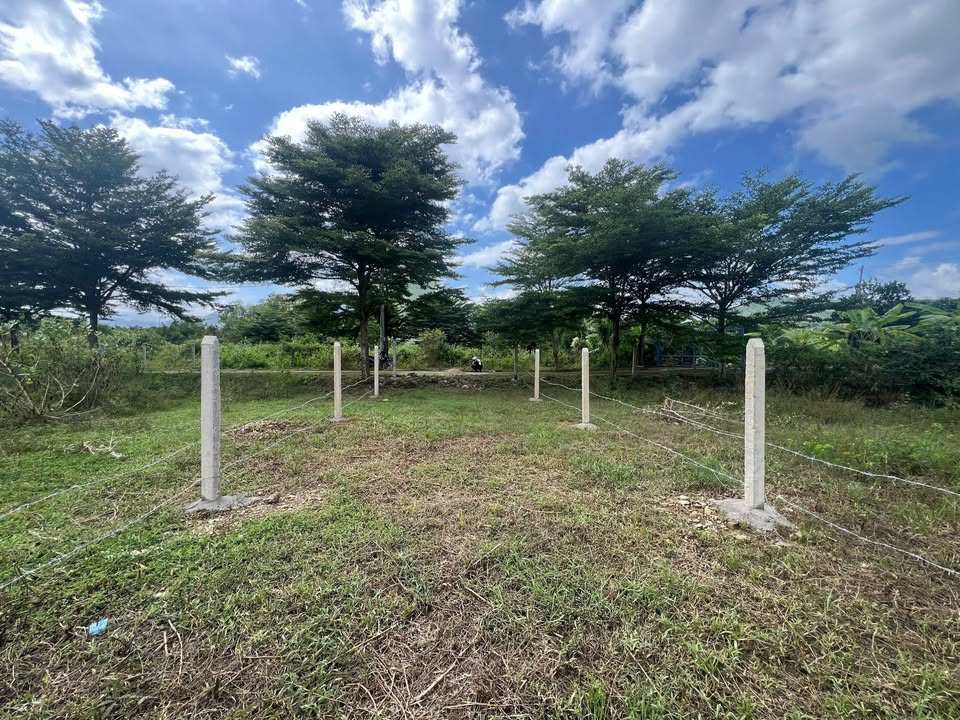 Đất nền Diên Lạc, Diên Khánh 85.5m² giá chỉ 780 triệu - Sổ đỏ chính chủ!