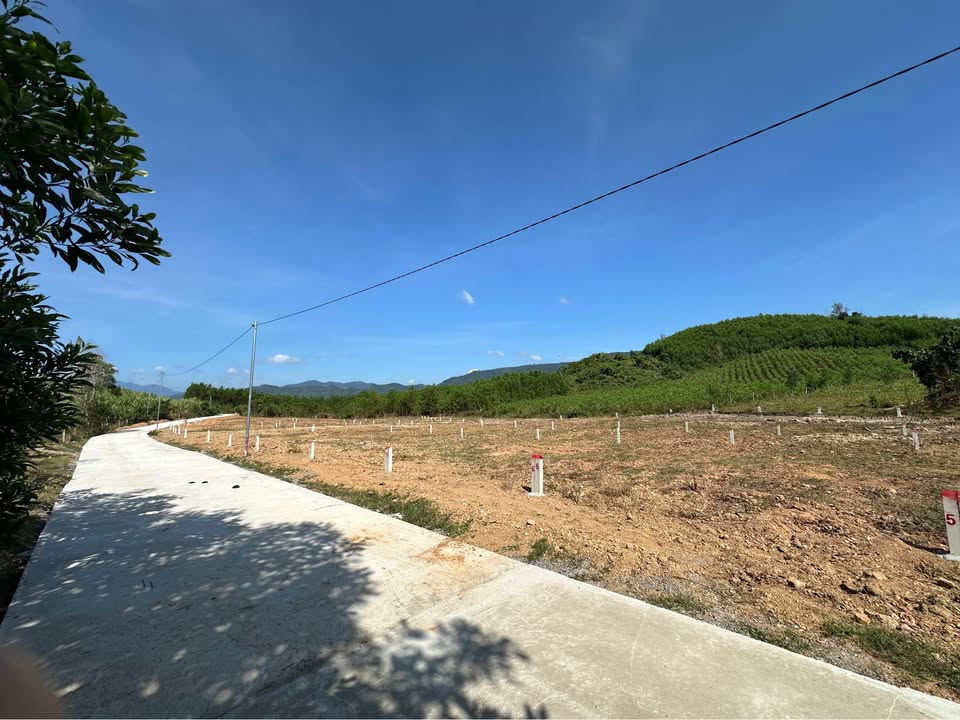 Đất nền Khánh Bình Khánh Vĩnh 234m² giá chỉ 199 triệu - Cơ hội đầu tư tốt!