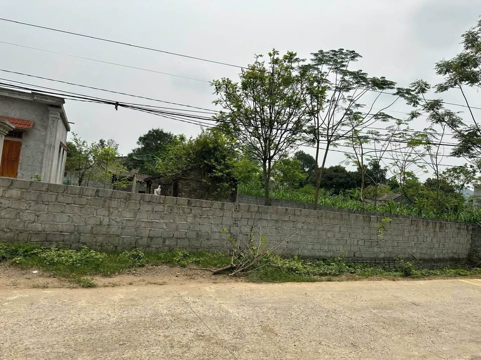 Đất nền xã Kỳ Phú Nho Quan 439m² giá 2 tỷ - Đường rộng 12.83m!