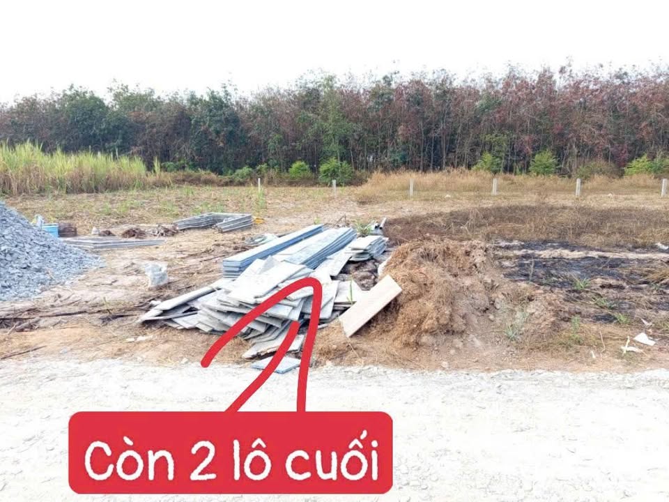 Đất thổ cư Xã Phan, Huyện Dương Minh Châu 140m² chỉ 299 triệu - Gần trường học và chợ