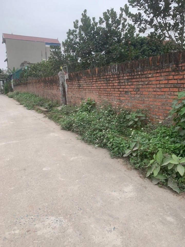 Đất nền Phụng Châu, Chương Mỹ 54m² giá 3 tỷ - Tiềm năng sinh lời cao!