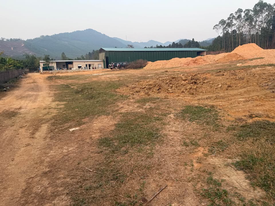 Đất nền Flamingo Đại Lải 5000m² giá 15 tỷ - Cơ hội đầu tư tuyệt vời!