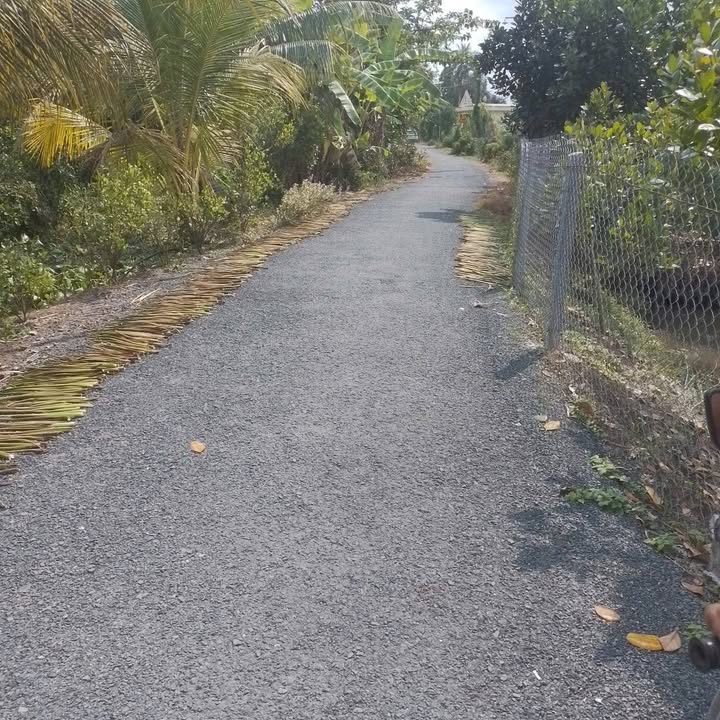 Đất vườn 2.500m² xã Bình Thạnh, giá 1.125 tỷ - Đầu tư sinh lời ngay!