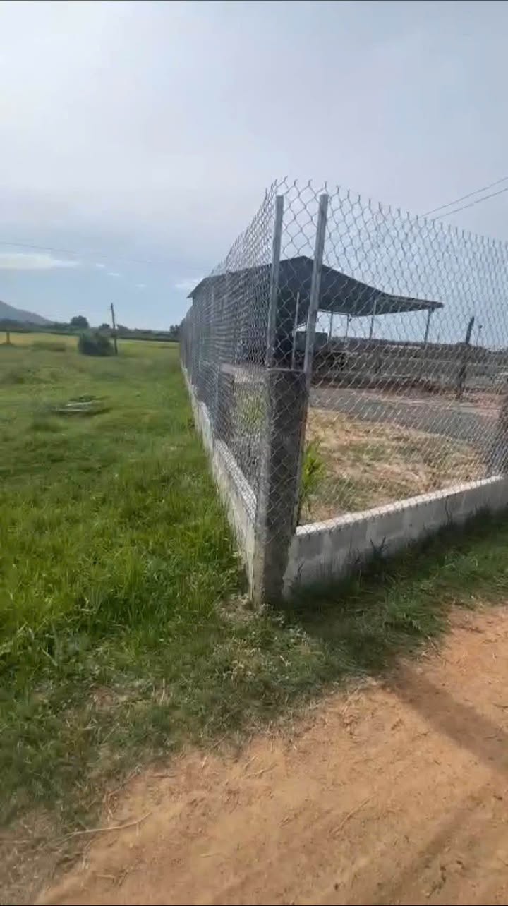 Nhà vườn An Phú Hàm Thuận Bắc 370m² giá 1.1 tỷ - Sổ đỏ chính chủ