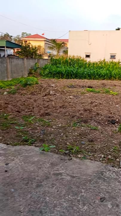 Đất nền xã Nam Trung, huyện Tiền Hải 115m² giá chỉ 500 triệu - Cơ hội đầu tư tuyệt vời!