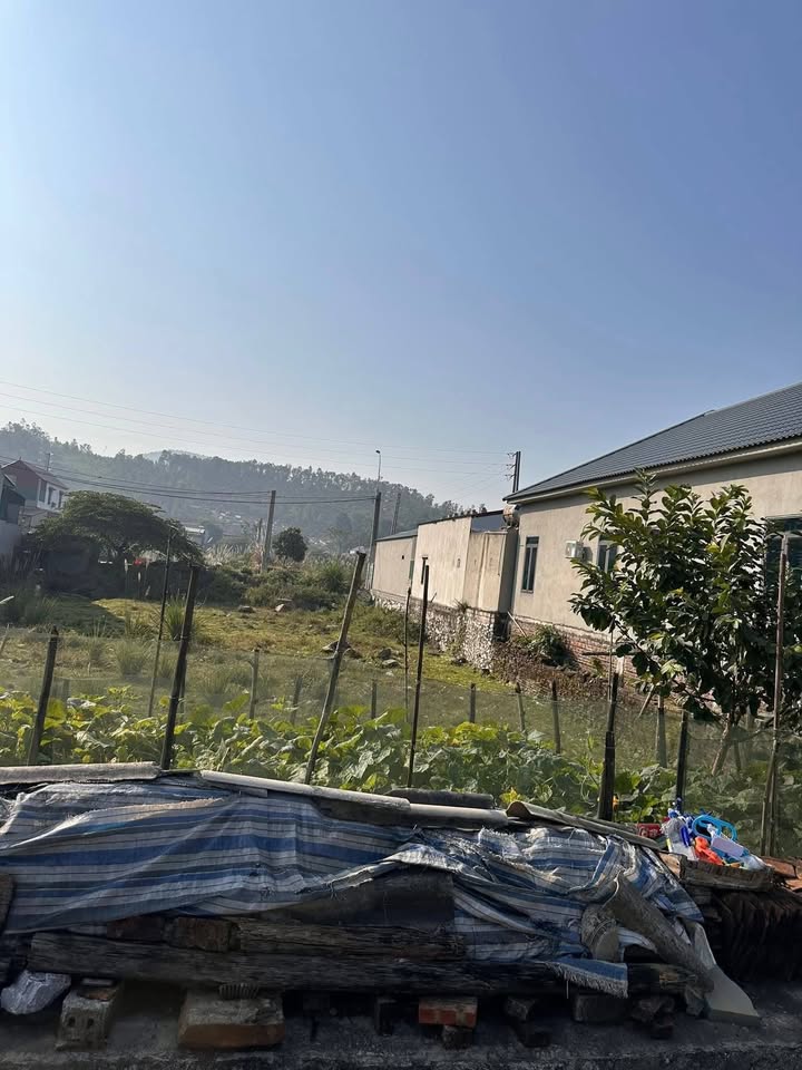 Đất Tái Định Cư Hà Lĩnh, Hà Trung 200m² giá 1.1 tỷ - Cơ hội vàng đầu tư!