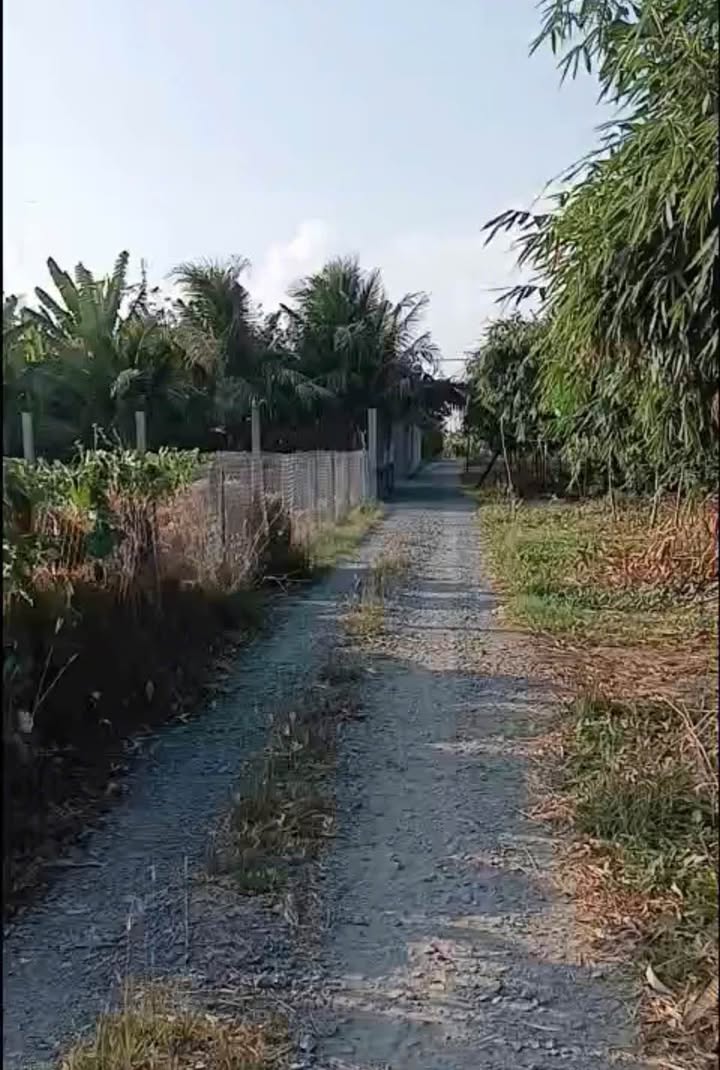 Đất vườn 999m² tại Châu Thành, Long An giá 750 triệu - Sổ đỏ chính chủ!