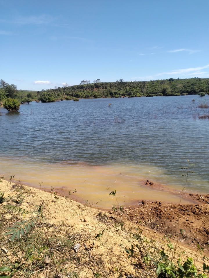 Đất nông nghiệp 10000m² tại Ấp 7, Xã Phước Sơn chỉ 1.3 tỷ - Tiềm năng đầu tư tuyệt vời!