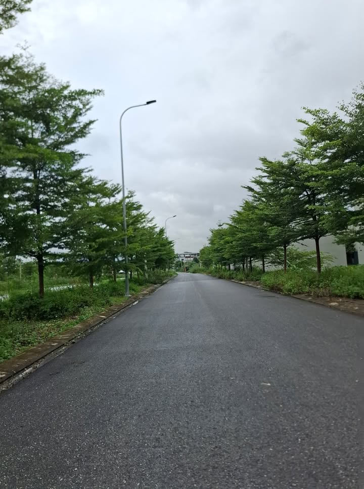 Đất phân lô tại xã Gia Viễn, Ninh Bình - Diện tích từ 120m², giá chỉ từ 1.5 tỷ!