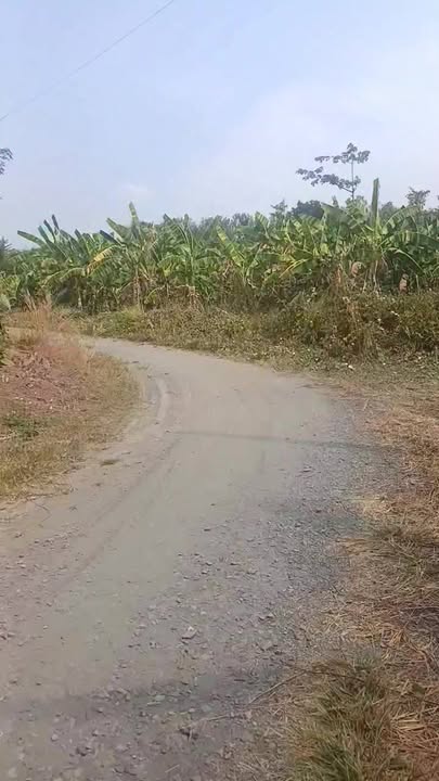 Đất nền Xã Lâm San, Huyện Cẩm Mỹ 5.453m² giá 9.735 tỷ - Đầu tư sinh lời ngay!