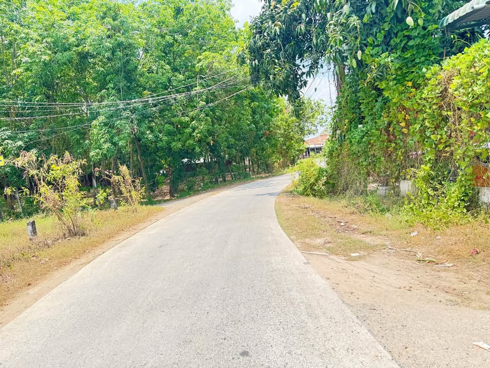 Đất thổ vườn Tây Nguyên, 1350m² giá 1.62 tỷ - Đầu tư sinh lời!